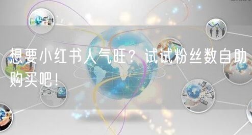 想要小红书人气旺？试试粉丝数自助购买吧！