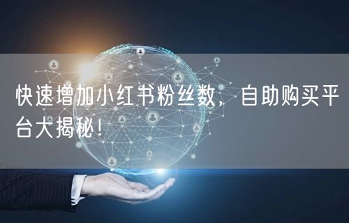 快速增加小红书粉丝数，自助购买平台大揭秘！