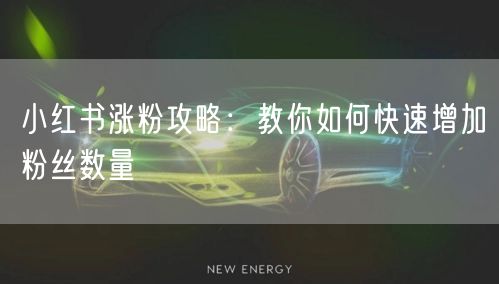 小红书涨粉攻略：教你如何快速增加粉丝数量
