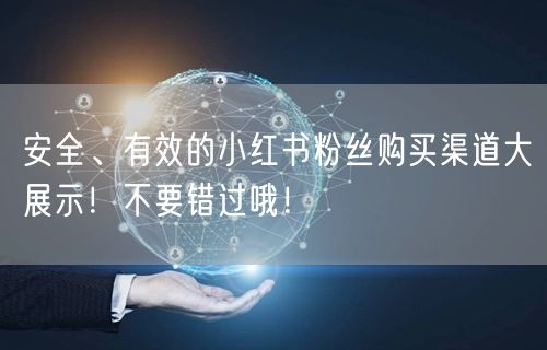 安全、有效的小红书粉丝购买渠道大展示！不要错过哦！