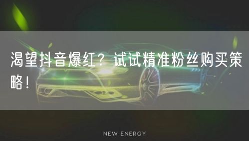 渴望抖音爆红？试试精准粉丝购买策略！