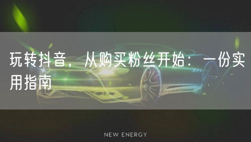 玩转抖音，从购买粉丝开始：一份实用指南