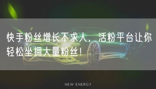 快手粉丝增长不求人，活粉平台让你轻松坐拥大量粉丝！