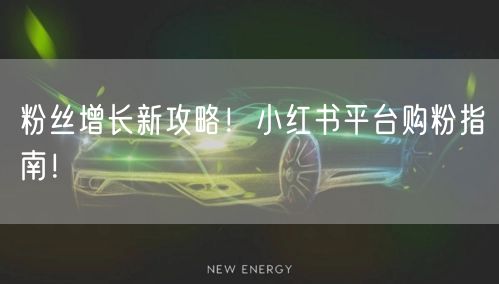 粉丝增长新攻略！小红书平台购粉指南！