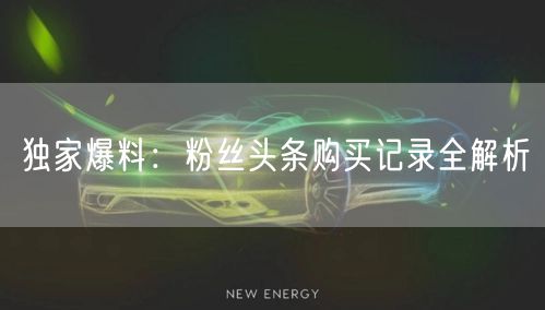 独家爆料：粉丝头条购买记录全解析