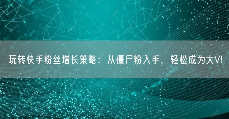玩转快手粉丝增长策略：从僵尸粉入手，轻松成为大V!