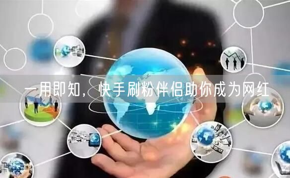 一用即知，快手刷粉伴侣助你成为网红