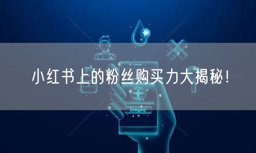 小红书上的粉丝购买力大揭秘！