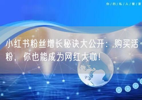 小红书粉丝增长秘诀大公开：购买活粉，你也能成为网红大咖！