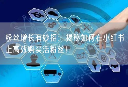 粉丝增长有妙招：揭秘如何在小红书上高效购买活粉丝！