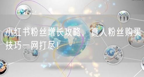 小红书粉丝增长攻略，真人粉丝购买技巧一网打尽！