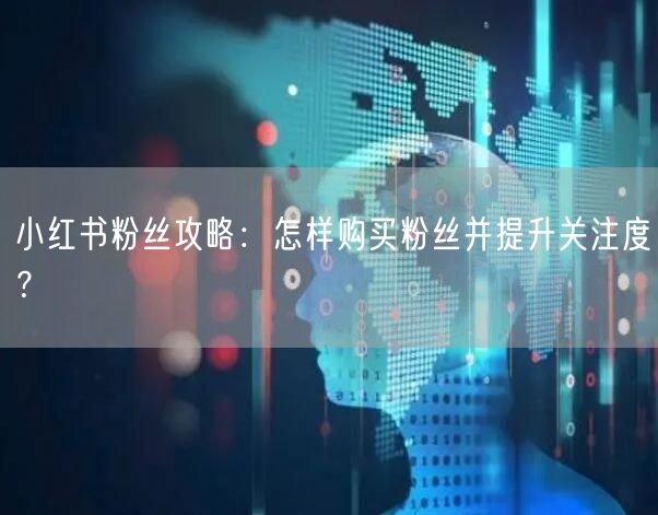 小红书粉丝攻略：怎样购买粉丝并提升关注度？