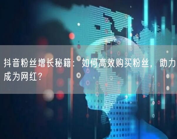 抖音粉丝增长秘籍：如何高效购买粉丝，助力成为网红？