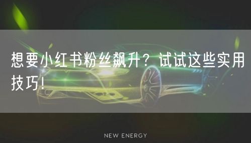 想要小红书粉丝飙升？试试这些实用技巧！
