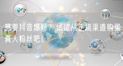 想要抖音爆粉？试试从正规渠道购买真人粉丝吧！