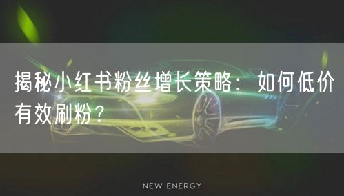 揭秘小红书粉丝增长策略：如何低价有效刷粉？