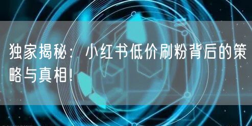 独家揭秘：小红书低价刷粉背后的策略与真相！