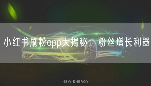 小红书刷粉app大揭秘：粉丝增长利器