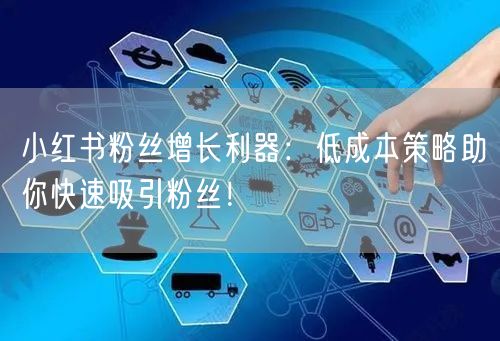 小红书粉丝增长利器：低成本策略助你快速吸引粉丝！