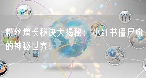 粉丝增长秘诀大揭秘：小红书僵尸粉的神秘世界！