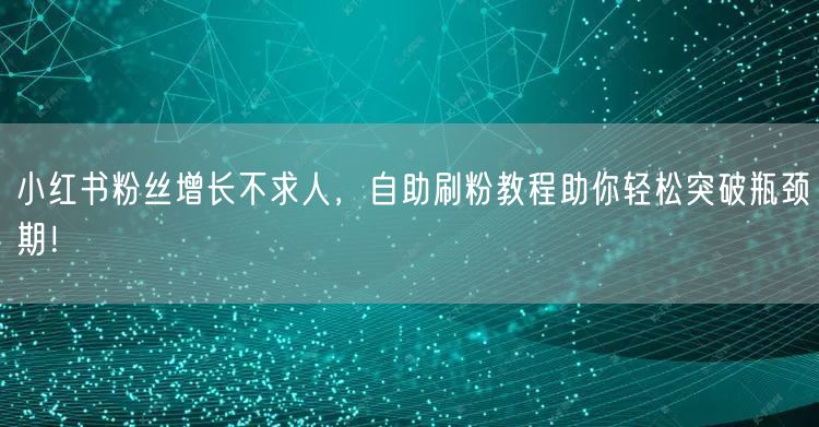 小红书粉丝增长不求人，自助刷粉教程助你轻松突破瓶颈期！