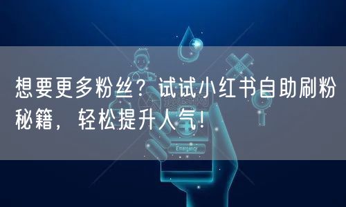 想要更多粉丝？试试小红书自助刷粉秘籍，轻松提升人气！