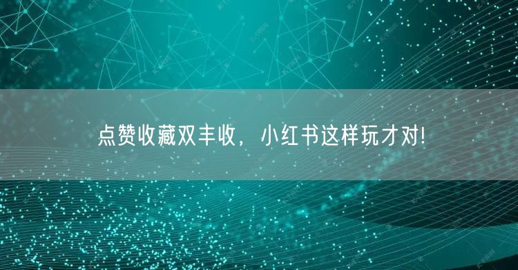 点赞收藏双丰收，小红书这样玩才对!