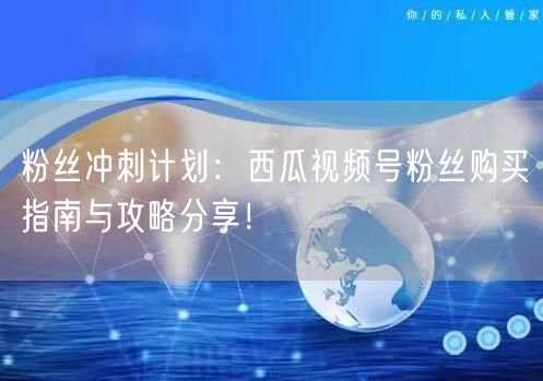 粉丝冲刺计划：西瓜视频号粉丝购买指南与攻略分享！