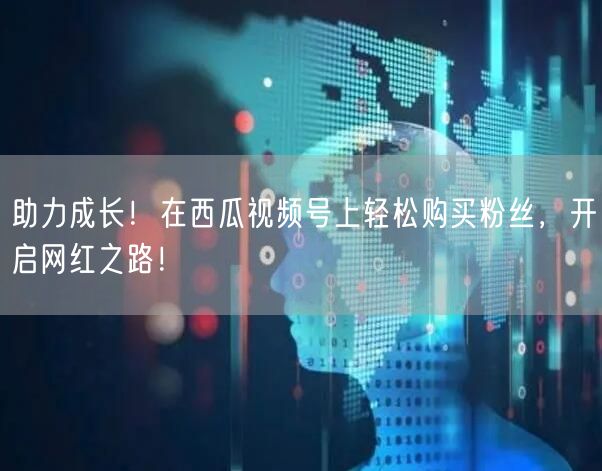 助力成长！在西瓜视频号上轻松购买粉丝，开启网红之路！