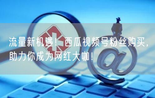 流量新机遇！西瓜视频号粉丝购买，助力你成为网红大咖！