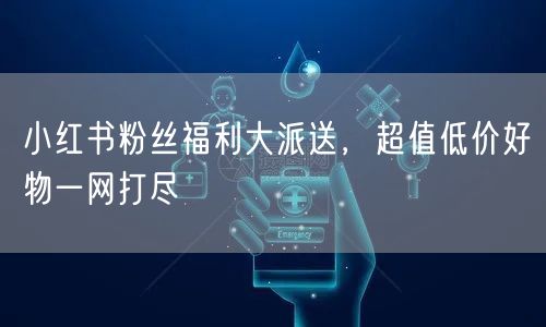 小红书粉丝福利大派送，超值低价好物一网打尽