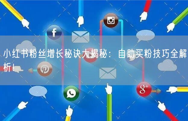 小红书粉丝增长秘诀大揭秘：自助买粉技巧全解析！