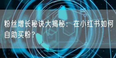 粉丝增长秘诀大揭秘：在小红书如何自助买粉？