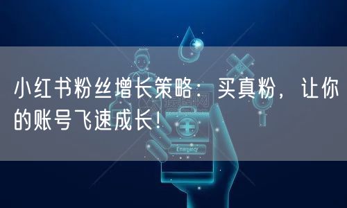 小红书粉丝增长策略：买真粉，让你的账号飞速成长！