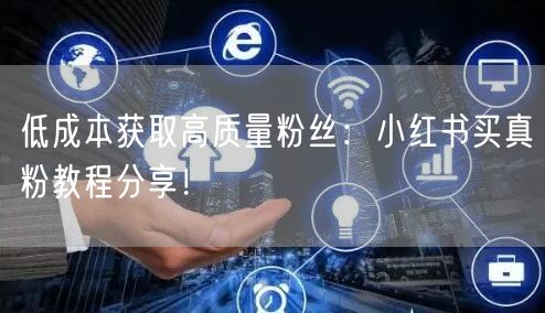 低成本获取高质量粉丝：小红书买真粉教程分享！