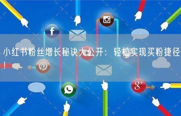 小红书粉丝增长秘诀大公开：轻松实现买粉捷径！