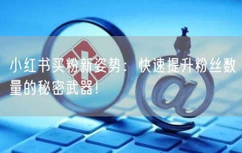 小红书买粉新姿势：快速提升粉丝数量的秘密武器！