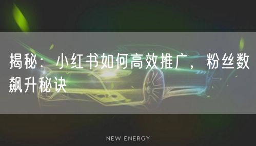 揭秘：小红书如何高效推广，粉丝数飙升秘诀