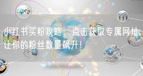 小红书买粉攻略：点击获取专属网址，让你的粉丝数量飙升！