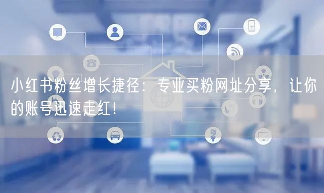 小红书粉丝增长捷径：专业买粉网址分享，让你的账号迅速走红！