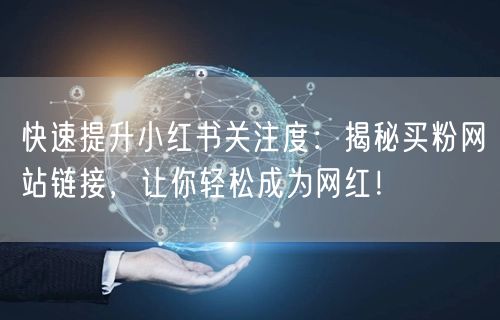 快速提升小红书关注度：揭秘买粉网站链接，让你轻松成为网红！