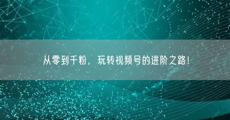 从零到千粉，玩转视频号的进阶之路！