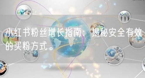 小红书粉丝增长指南：揭秘安全有效的买粉方式。