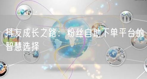 抖友成长之路:粉丝自助下单平台的智慧选择
