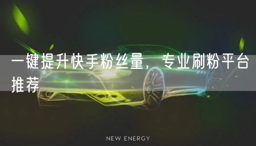 一键提升快手粉丝量,专业刷粉平台推荐