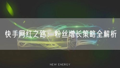 快手网红之路:粉丝增长策略全解析