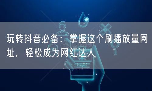 玩转抖音必备:掌握这个刷播放量网址,轻松成为网红达人