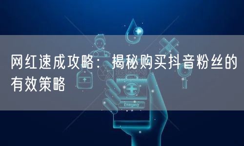 网红速成攻略:揭秘购买抖音粉丝的有效策略